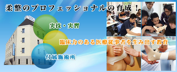 �_���i�����E�ڍ��j�̃v���t�F�b�V���i���̈琬�I